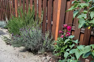 1575 Leo St NE, Keizer, OR 97303 - Photo 48