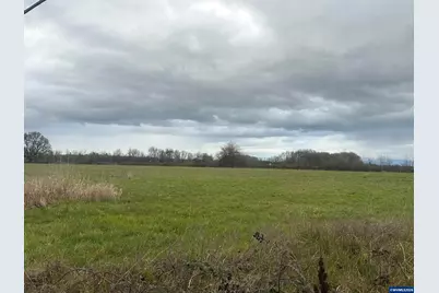Lot 400 Oregon Highway 99E, Tangent, OR 97389 - Photo 2