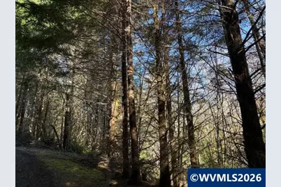 000 Alsea Hwy, Alsea, OR 97324 - Photo 24
