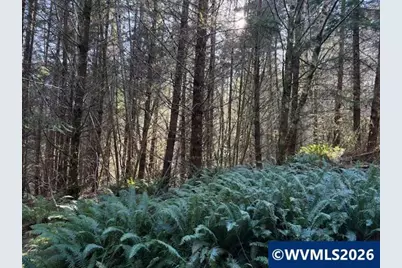 000 Alsea Hwy, Alsea, OR 97324 - Photo 30