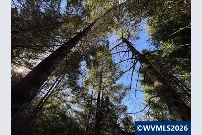 000 Alsea Hwy, Alsea, OR 97324 - Photo 2