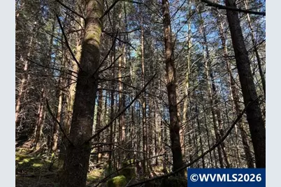 000 Alsea Hwy, Alsea, OR 97324 - Photo 26