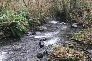 000 Alsea Hwy, Alsea, OR 97324 - Photo 1