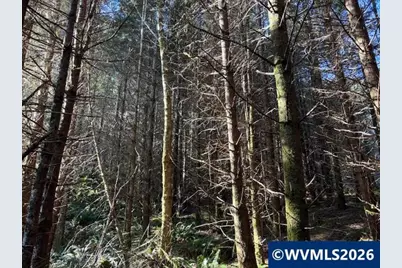 000 Alsea Hwy, Alsea, OR 97324 - Photo 28