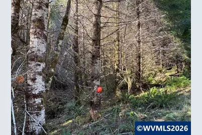 000 Alsea Hwy, Alsea, OR 97324 - Photo 20