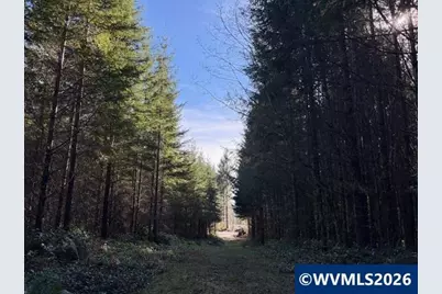 00 SE Wildcat Mountain Dr, Sandy, OR 97055 - Photo 28