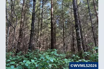 00 SE Wildcat Mountain Dr, Sandy, OR 97055 - Photo 16