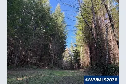 00 SE Wildcat Mountain Dr, Sandy, OR 97055 - Photo 18