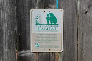 3064 NW Maxine Cir, Corvallis, OR 97330 - Photo 38