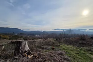 10855 Kubin Rd SE, Lyons, OR 97358 - Photo 12