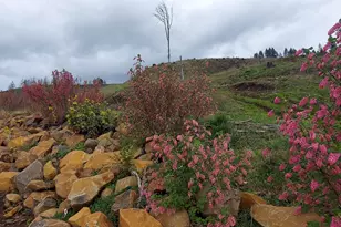 10855 Kubin Rd SE, Lyons, OR 97358 - Photo 12