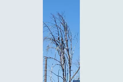 10855 Kubin Rd SE, Lyons, OR 97358 - Photo 20