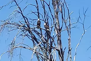 10855 Kubin Rd SE, Lyons, OR 97358 - Photo 20