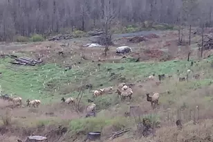 10855 Kubin Rd SE, Lyons, OR 97358 - Photo 18