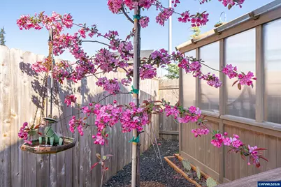 2926 Canter Av NE, Albany, OR 97321 - Photo 32