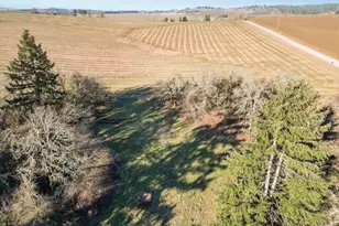 15785 Coon Hollow Rd SE, Stayton, OR 97383 - Photo 48