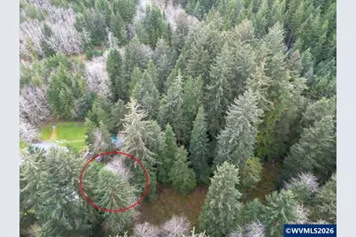 10840 Tillicum Lp, Neskowin, OR 97149 - Photo 12