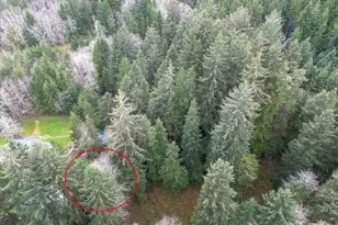 10840 Tillicum Lp, Neskowin, OR 97149 - Photo 12