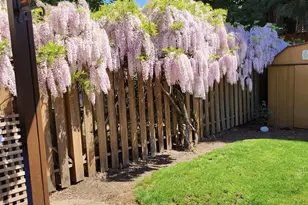 1030 Morningside Dr SE, Salem, OR 97302 - Photo 46