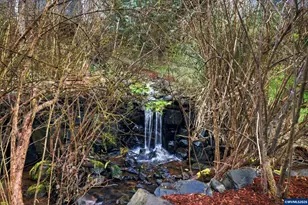 4771 Chatham St SE, Salem, OR 97302 - Photo 38