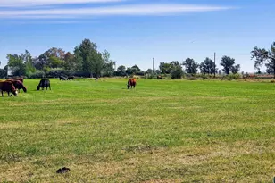 68499 Kunze Ln, Boardman, OR 97818 - Photo 2