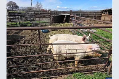 68499 Kunze Ln, Boardman, OR 97818 - Photo 18