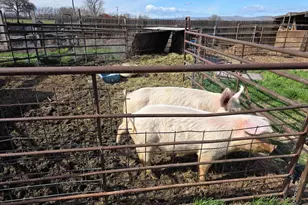 68499 Kunze Ln, Boardman, OR 97818 - Photo 18