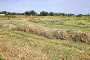 68499 Kunze Ln, Boardman, OR 97818 - Photo 4