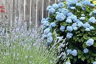 903 Eisenhower Dr NW, Salem, OR 97304 - Photo 34