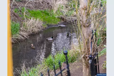 1869 Plateau St NE, Salem, OR 97305 - Photo 40
