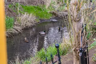 1869 Plateau St NE, Salem, OR 97305 - Photo 40