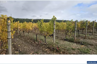 0 Pioneer Rd, Dallas, OR 97738 - Photo 14