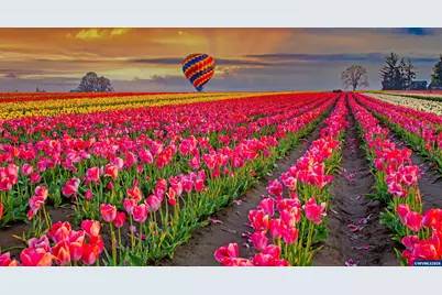 740 Merriott Ln, Woodburn, OR 97071 - Photo 22