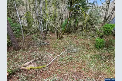 1765 (Next To) Alta View Dr S, Salem, OR 97302 - Photo 12