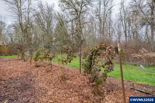 932 Olive Way E, Monmouth, OR 97361 - Photo 44