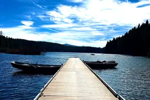 91638 Horse Creek Rd, McKenzie Bridge, OR 97413 - Photo 48