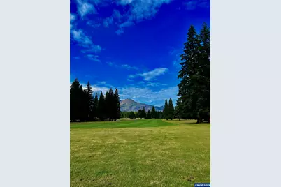 91638 Horse Creek Rd, McKenzie Bridge, OR 97413 - Photo 46