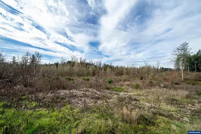 Tl#0923670 Shilling (Lot 5) Dr, Scio, OR 97374 - Photo 1