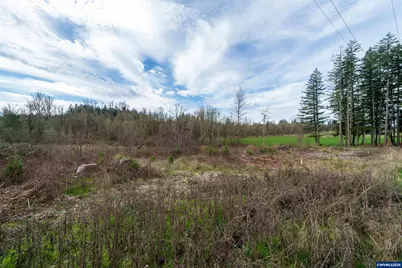 Tl#0923670 Shilling (Lot 5) Dr, Scio, OR 97374 - Photo 14