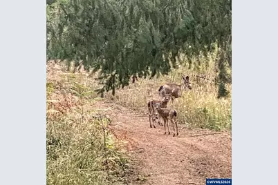 16343 Haven Acres Ln NE, Silverton, OR 97381 - Photo 44