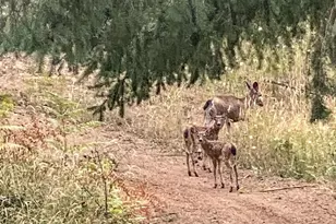 16343 Haven Acres Ln NE, Silverton, OR 97381 - Photo 44