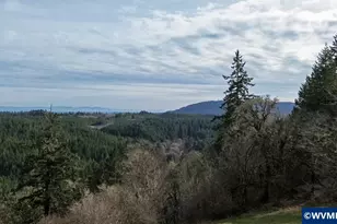 33941 Marys River Estates Rd, Philomath, OR 97370 - Photo 34