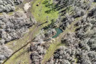 35377 Ede Rd, Lebanon, OR 97355 - Photo 10