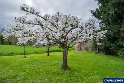 16770 S Swan Av, Oregon City, OR 97045 - Photo 44