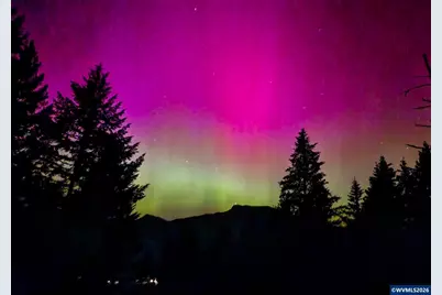 411 Upper Terrace Dr, Glide, OR 97443 - Photo 24