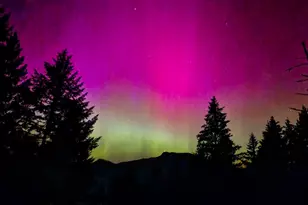 411 Upper Terrace Dr, Glide, OR 97443 - Photo 24