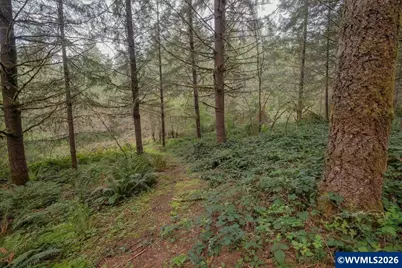 26825 Old Holley Rd, Sweet Home, OR 97386 - Photo 6