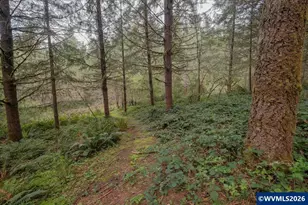 26825 Old Holley Rd, Sweet Home, OR 97386 - Photo 6