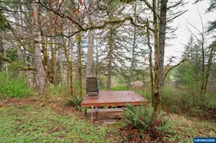 23220 Burgett Creek Rd, Philomath, OR 97370 - Photo 46