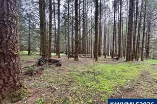 23939 Raze Rd, Elmira, OR 97437 - Photo 42